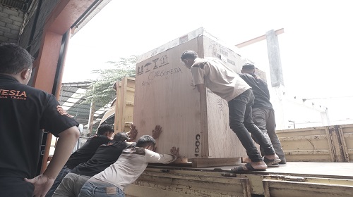 Jasa Cargo Murah Jakarta Ke Wamena